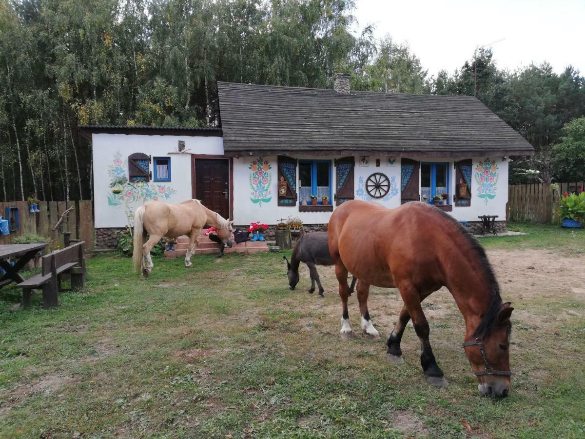 Zagroda Zalipie Ґостинін Екстер'єр фото